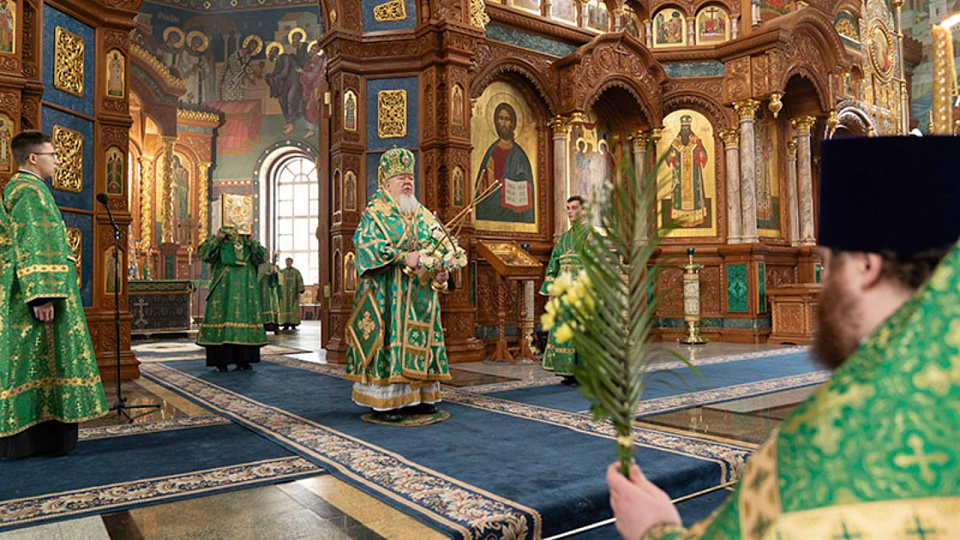 В Воронеже православные христиане отметили Вербное воскресенье